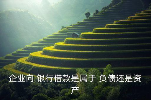 企業(yè)向 銀行借款是屬于 負債還是資產