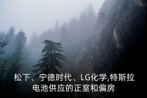  松下、寧德時(shí)代、LG化學(xué),特斯拉電池供應(yīng)的正室和偏房