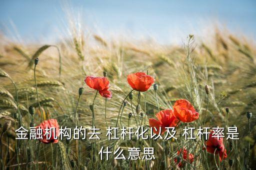 金融機構的去 杠桿化以及 杠桿率是什么意思
