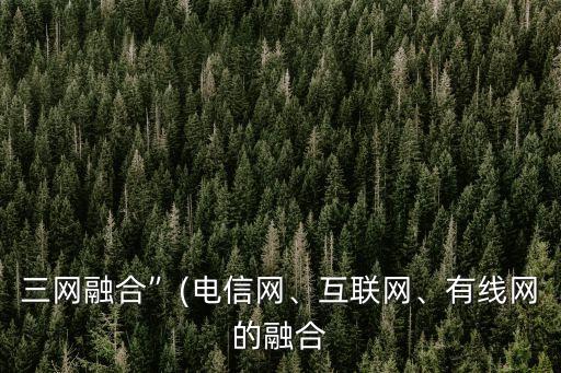 三網(wǎng)融合”(電信網(wǎng)、互聯(lián)網(wǎng)、有線網(wǎng)的融合