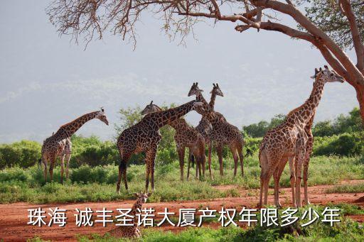 珠海誠豐集團訴訟