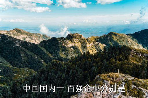 中國國內一 百強企業(yè)分別是