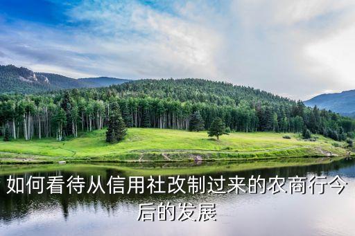 如何看待從信用社改制過(guò)來(lái)的農(nóng)商行今后的發(fā)展