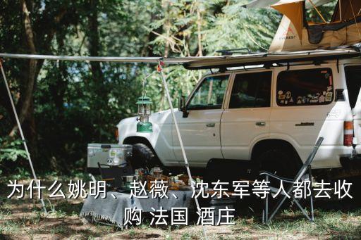 為什么姚明、趙薇、沈東軍等人都去收購(gòu) 法國(guó) 酒莊