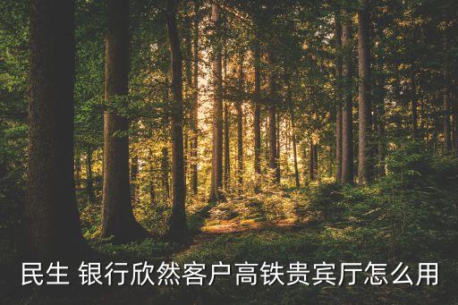 民生 銀行欣然客戶(hù)高鐵貴賓廳怎么用