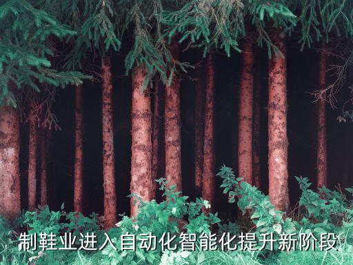  制鞋業(yè)進入自動化智能化提升新階段