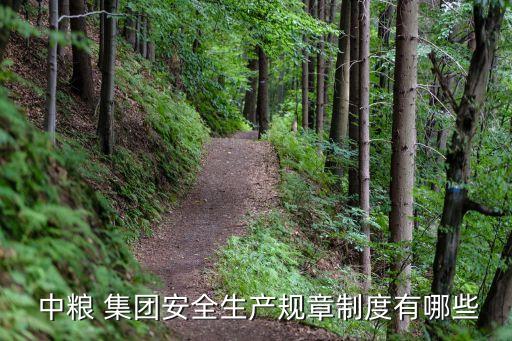  中糧 集團安全生產規(guī)章制度有哪些