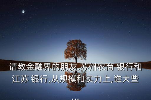 請教金融界的朋友,蘇州農商 銀行和江蘇 銀行,從規(guī)模和實力上,誰大些...