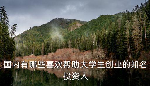 國內有哪些喜歡幫助大學生創(chuàng)業(yè)的知名 投資人