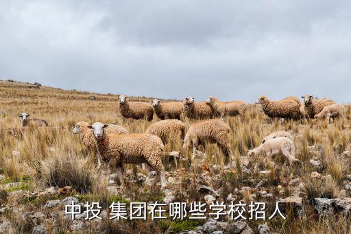 北京黑石集團,黑石集團背后的家族