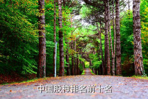 中國(guó)股神排名前十名