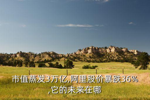 市值蒸發(fā)3萬(wàn)億,阿里股價(jià)暴跌36%,它的未來在哪