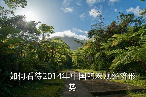 如何看待2014年中國的宏觀經(jīng)濟(jì)形勢