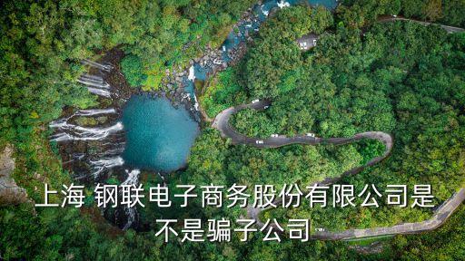  上海 鋼聯(lián)電子商務(wù)股份有限公司是不是騙子公司
