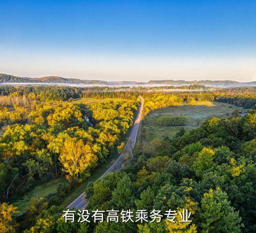 有沒(méi)有高鐵乘務(wù)專業(yè)