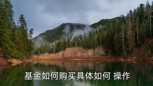 混合型基金經理怎么操作基金,場內基金也是有基金經理操作嗎?