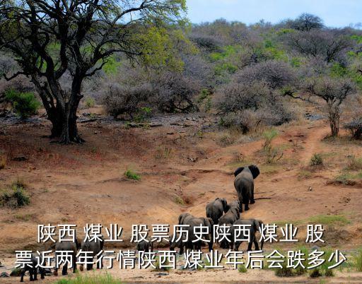 陜西 煤業(yè) 股票歷史陜西 煤業(yè) 股票近兩年行情陜西 煤業(yè)年后會(huì)跌多少