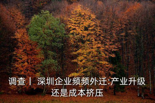 調查丨 深圳企業(yè)頻頻外遷:產(chǎn)業(yè)升級還是成本擠壓
