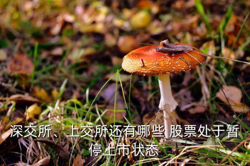 深交所、上交所還有哪些 股票處于暫停上市狀態(tài)