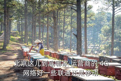  北京這兒到底哪家 運(yùn)營商的 4G網(wǎng)絡(luò)好一些聯(lián)通還是移動