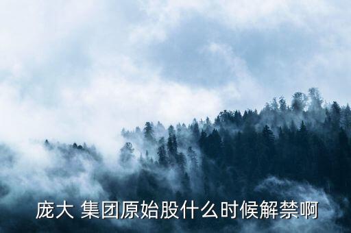 龐大集團什么時候送股