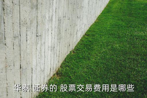 華泰證券股票多少錢(qián),6001688華泰證券股票