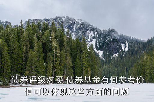  債券評(píng)級(jí)對(duì)買 債券基金有何參考價(jià)值可以體現(xiàn)這些方面的問題