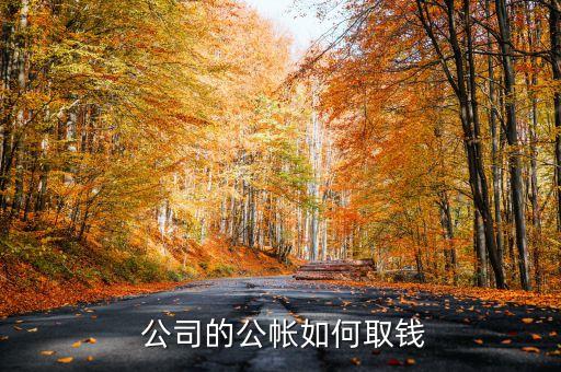  公司的公帳如何取錢