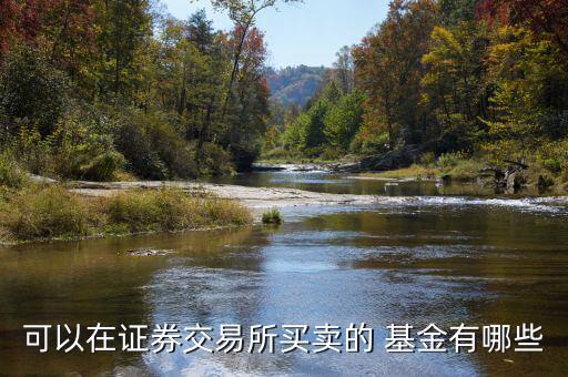 二級(jí)市場基金有哪些,基金的二級(jí)市場什么意思