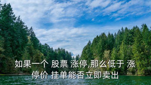 如果一個(gè) 股票 漲停,那么低于 漲停價(jià) 掛單能否立即賣出