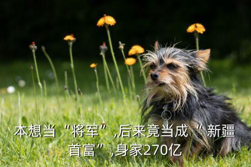 本想當“將軍”,后來竟當成“ 新疆首富”,身家270億