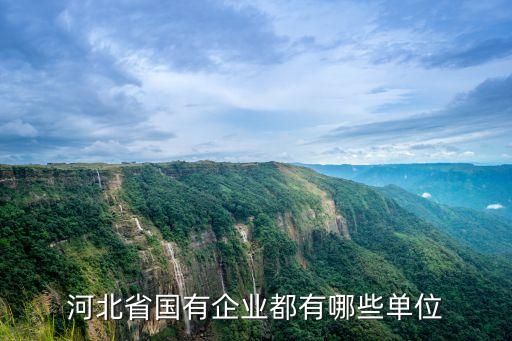 冀衡藥業(yè)深州分公司,深州冀衡藥業(yè)有限公司負(fù)責(zé)人電話(huà)