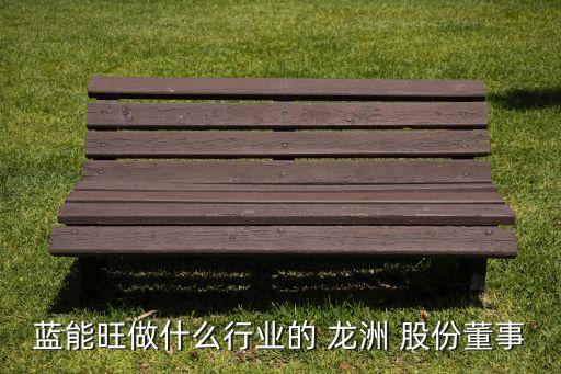 藍能旺做什么行業(yè)的 龍洲 股份董事