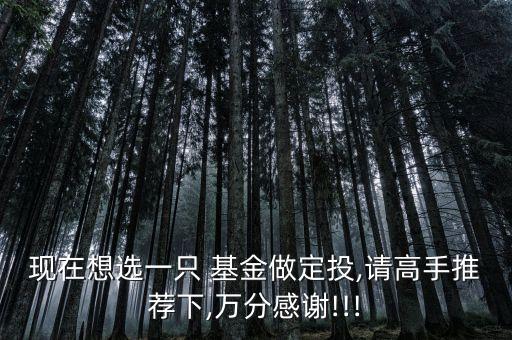瑞福進(jìn)取基金,瑞?；鸸?/></a></span><span id=
