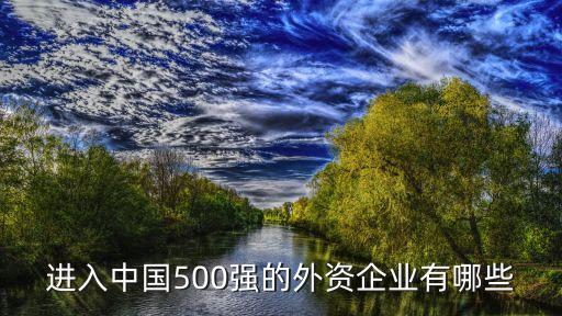 進(jìn)入中國(guó)500強(qiáng)的外資企業(yè)有哪些