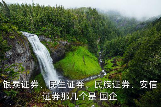 銀泰證券、民生證券、民族證券、安信證券那幾個(gè)是 國企