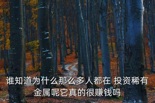 誰(shuí)知道為什么那么多人都在 投資稀有金屬呢它真的很賺錢(qián)嗎