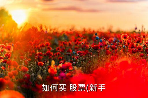 如何買 股票(新手