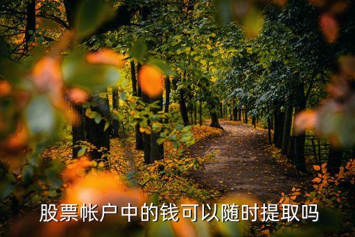  股票帳戶中的錢可以隨時(shí)提取嗎