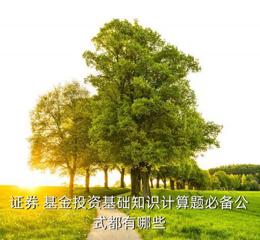 證券 基金投資基礎知識計算題必備公式都有哪些