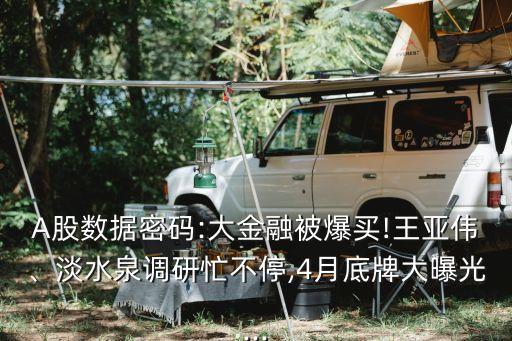 A股數(shù)據(jù)密碼:大金融被爆買!王亞偉、淡水泉調(diào)研忙不停,4月底牌大曝光...