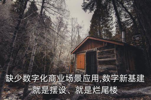 缺少數(shù)字化商業(yè)場景應(yīng)用,數(shù)字新基建就是擺設(shè)、就是爛尾樓