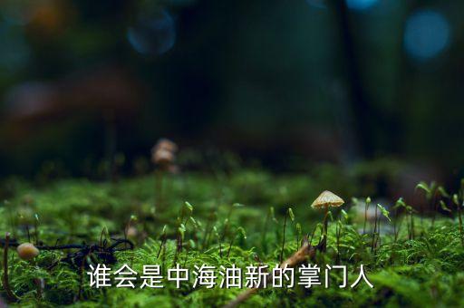 誰(shuí)會(huì)是中海油新的掌門人