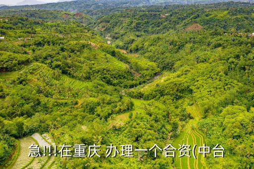產(chǎn)業(yè)投資公司辦理,中糧集團成立產(chǎn)業(yè)投資公司