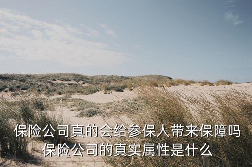 保險(xiǎn)公司的經(jīng)營動機(jī)