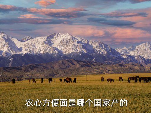 韓國農心集團創(chuàng)始人,韓國起亞集團創(chuàng)始人