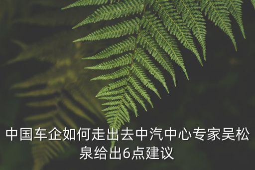 中國(guó)車(chē)企如何走出去中汽中心專家吳松泉給出6點(diǎn)建議
