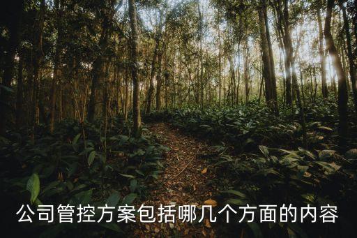公司管控方案包括哪幾個(gè)方面的內(nèi)容
