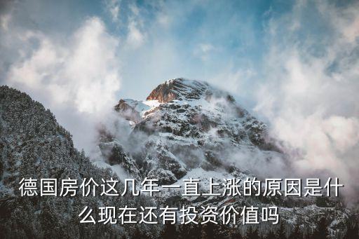 德國房地產公司,全國十大房地產公司排名