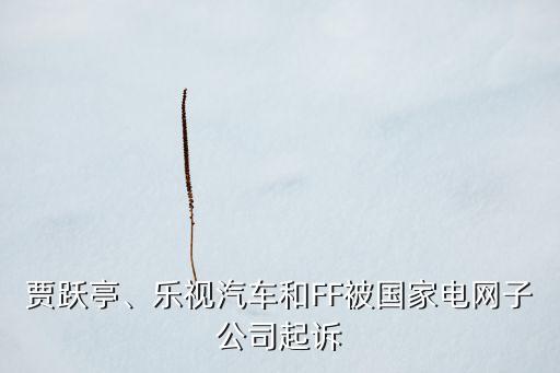 賈躍亭、樂視汽車和FF被國家電網(wǎng)子公司起訴